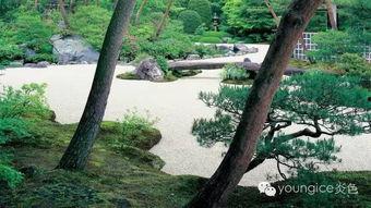 日本枯山水名作,禅意与自然的完美融合